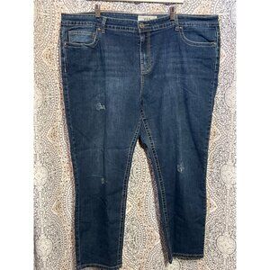 Womens VGS Blue Denim Straight-Leg Jeans With Embroidered Back Pockets Size 24W